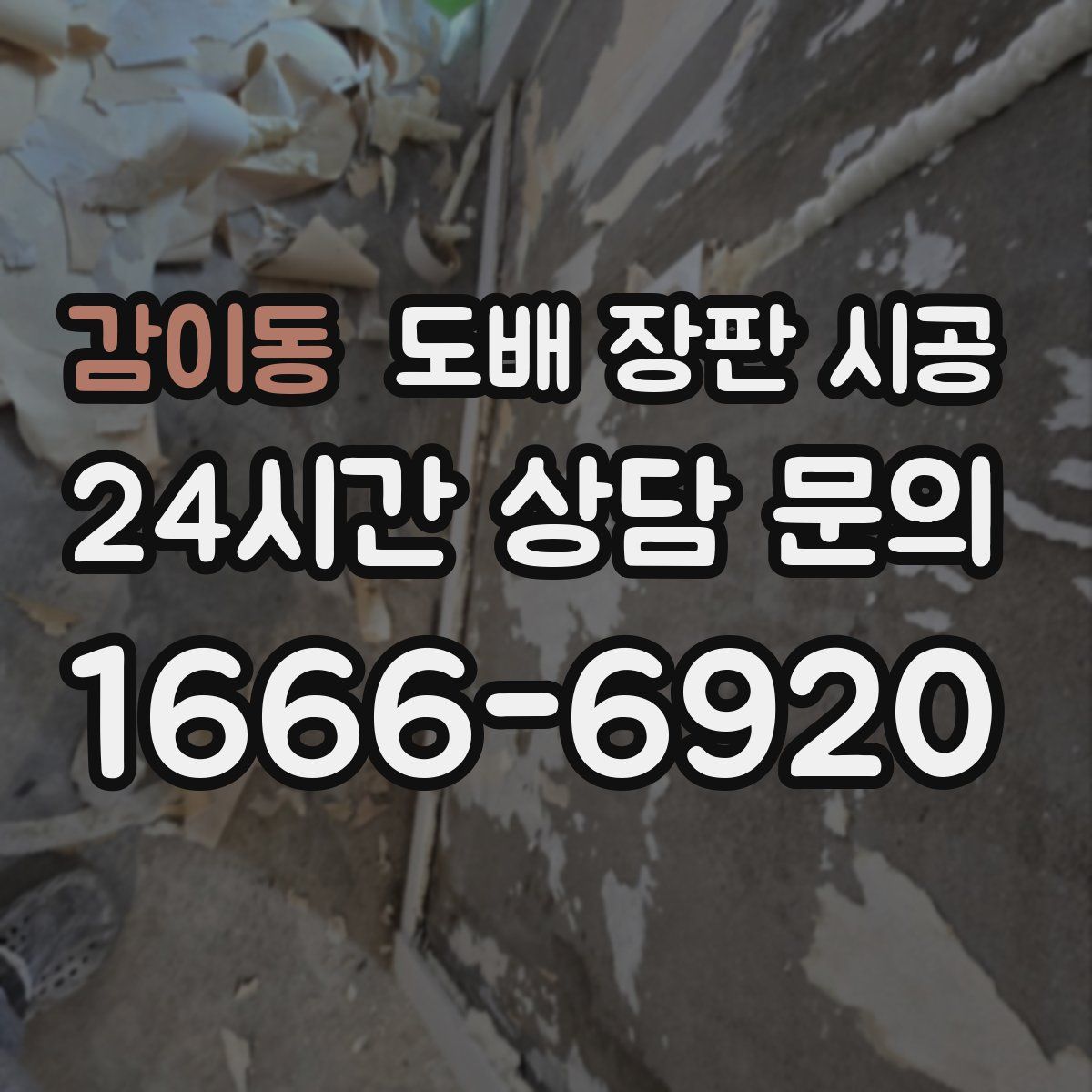 감이동 도배 장판 시공