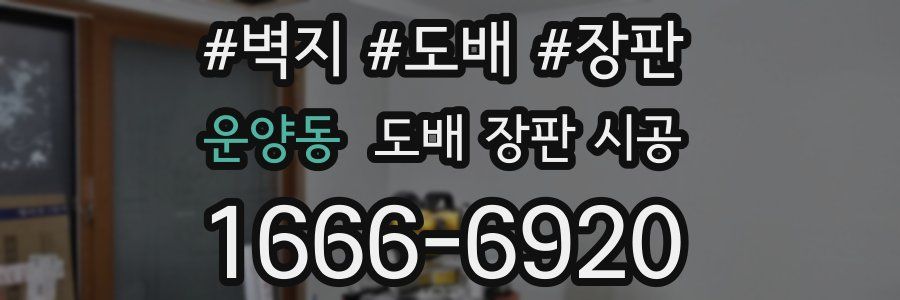 운양동 도배 장판 시공
