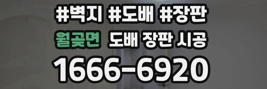 월곶면 도배 장판 시공