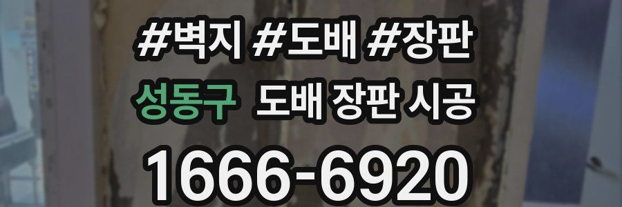 성동구 도배 장판 시공