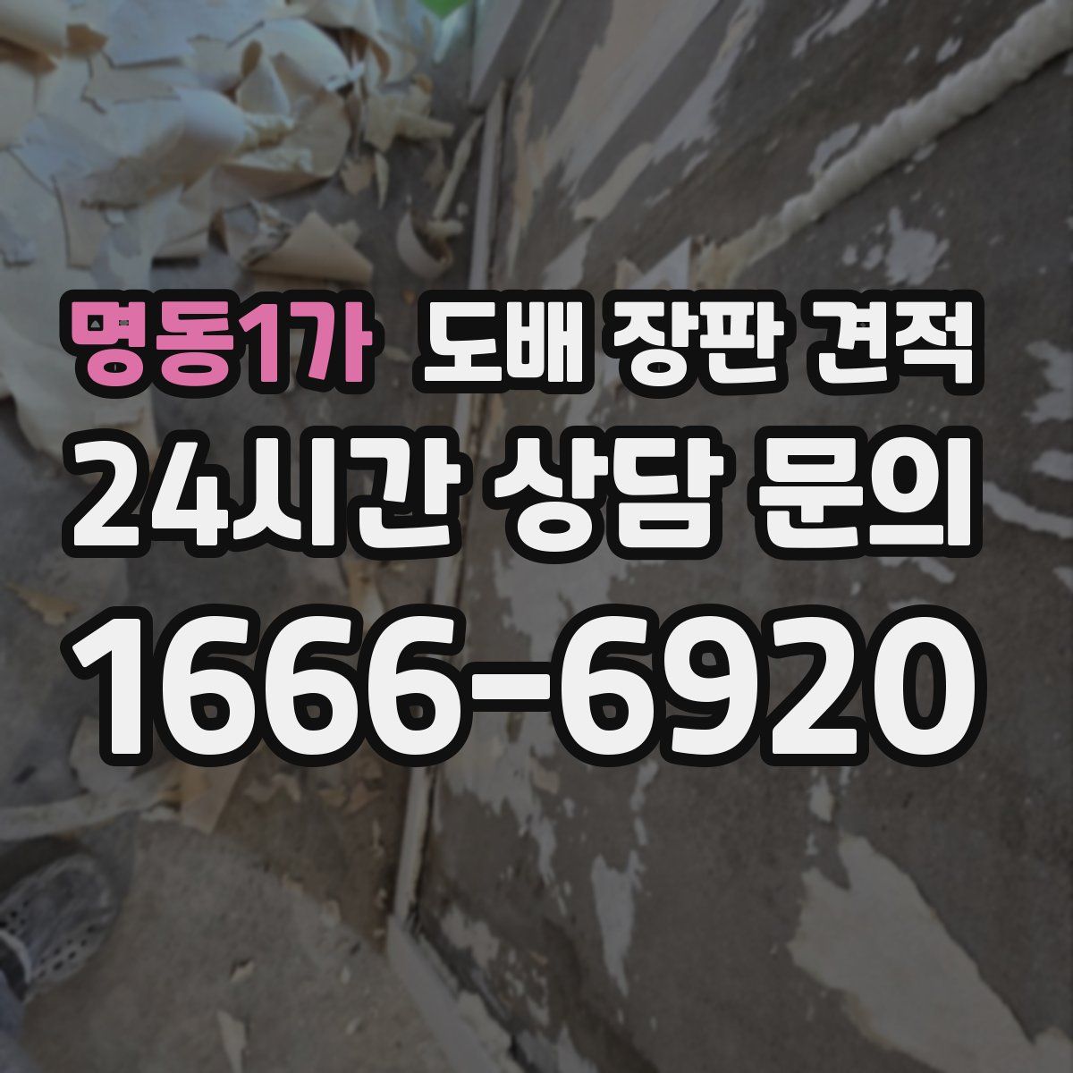 명동1가 도배 장판 견적