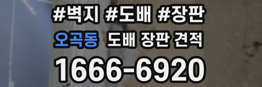 오곡동 도배 장판 견적