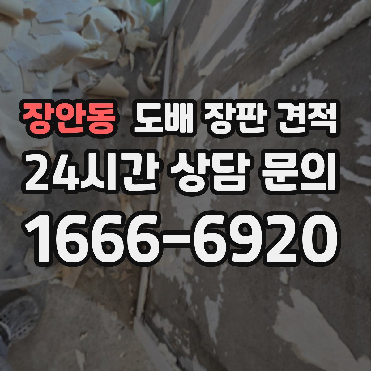 장안동 도배 장판 견적