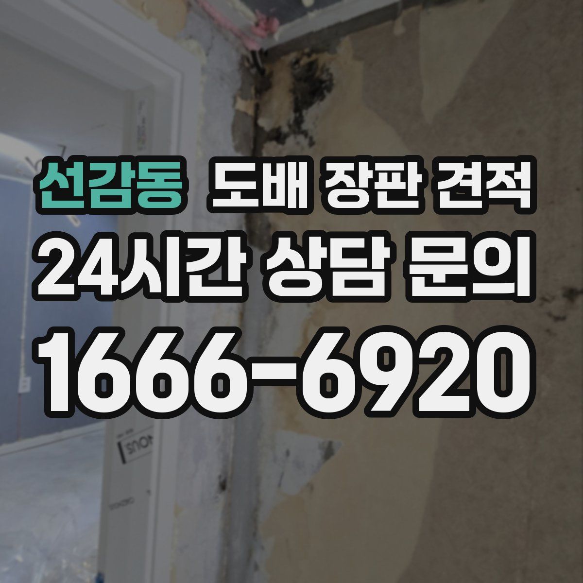 선감동 도배 장판 견적