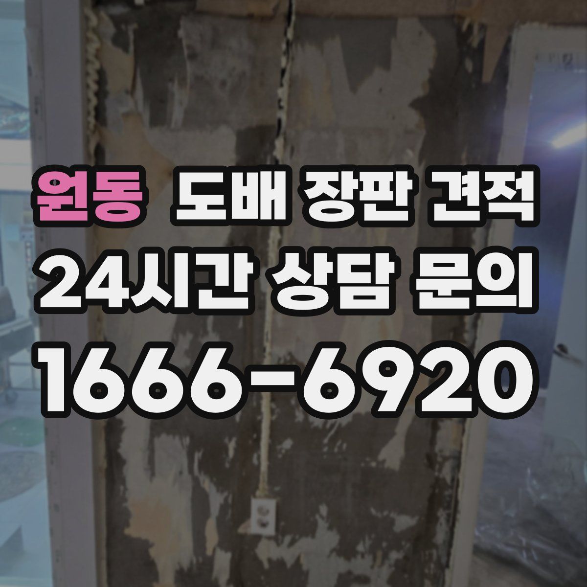 원동 도배 장판 견적