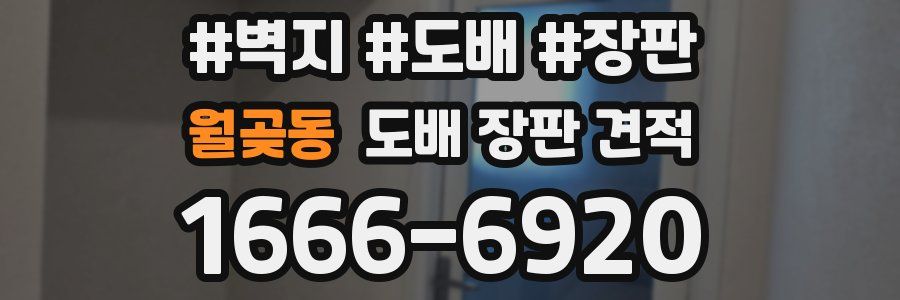 월곶동 도배 장판 견적