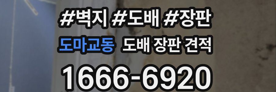 도마교동 도배 장판 견적