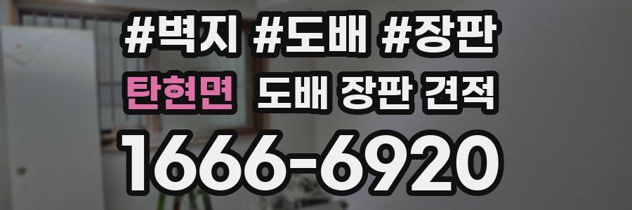 탄현면 도배 장판 견적
