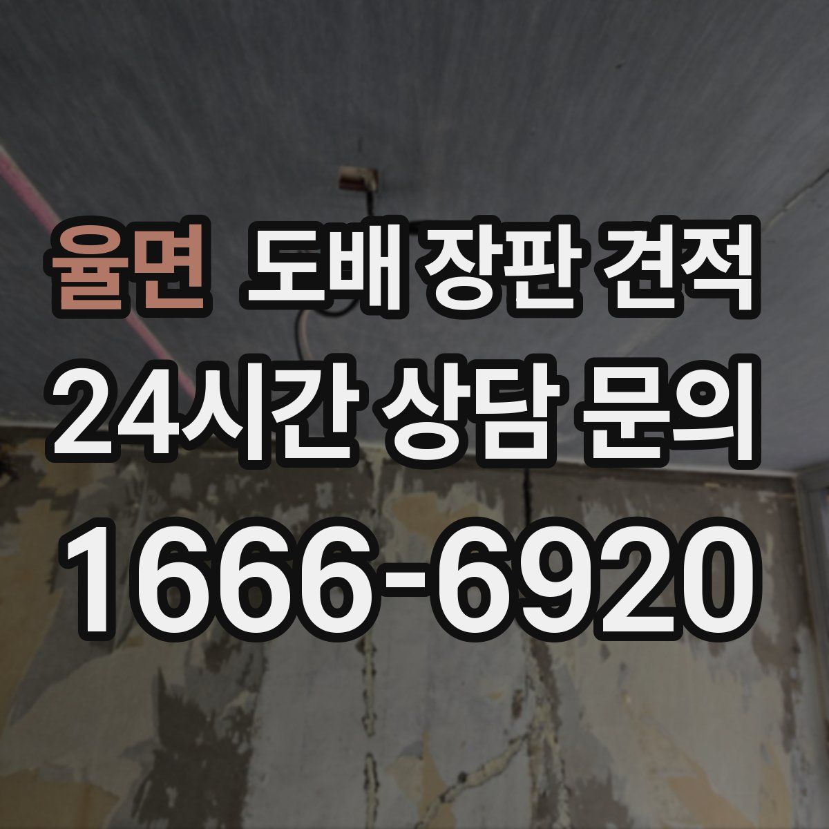 율면 도배 장판 견적