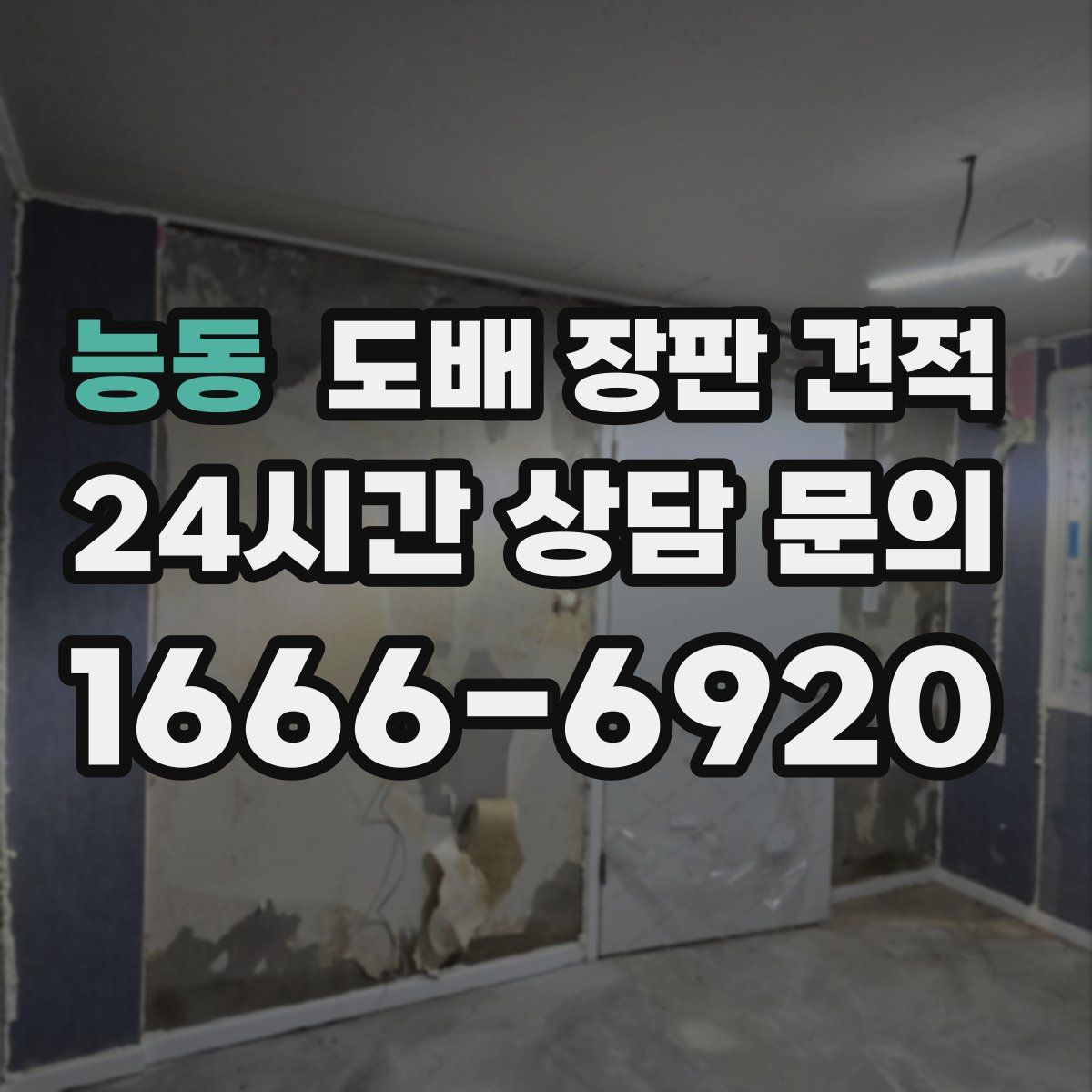 능동 도배 장판 견적