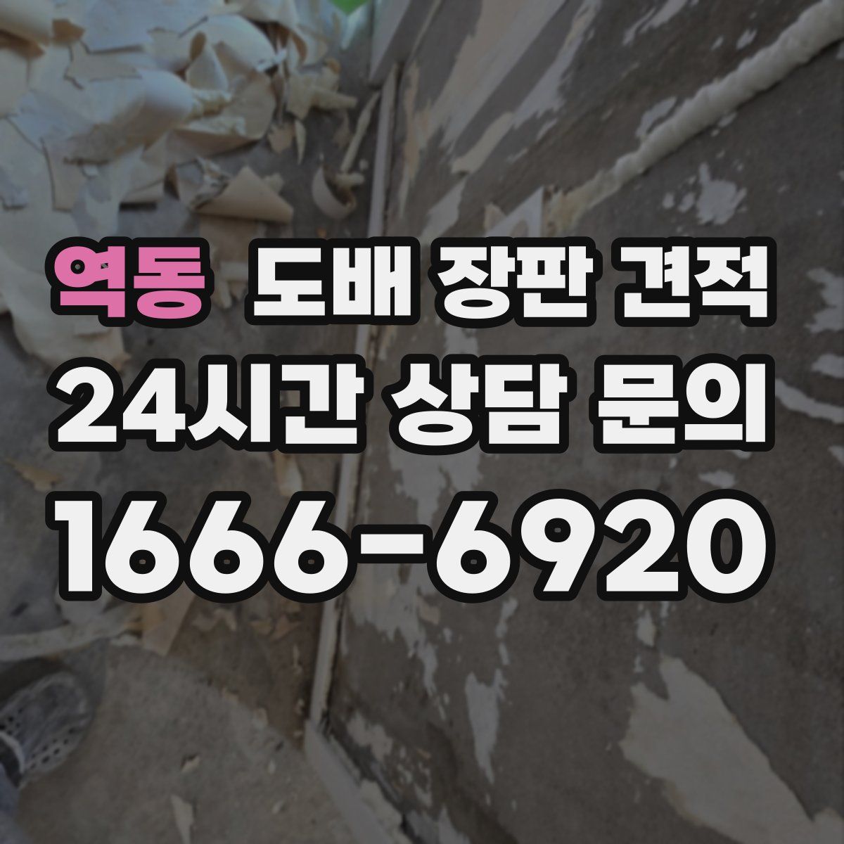 역동 도배 장판 견적