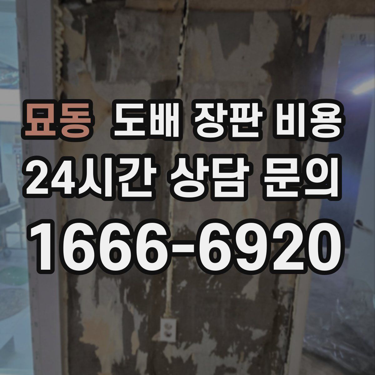 묘동 도배 장판 비용