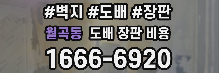 월곡동 도배 장판 비용