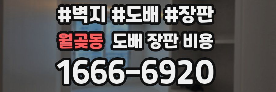 월곶동 도배 장판 비용