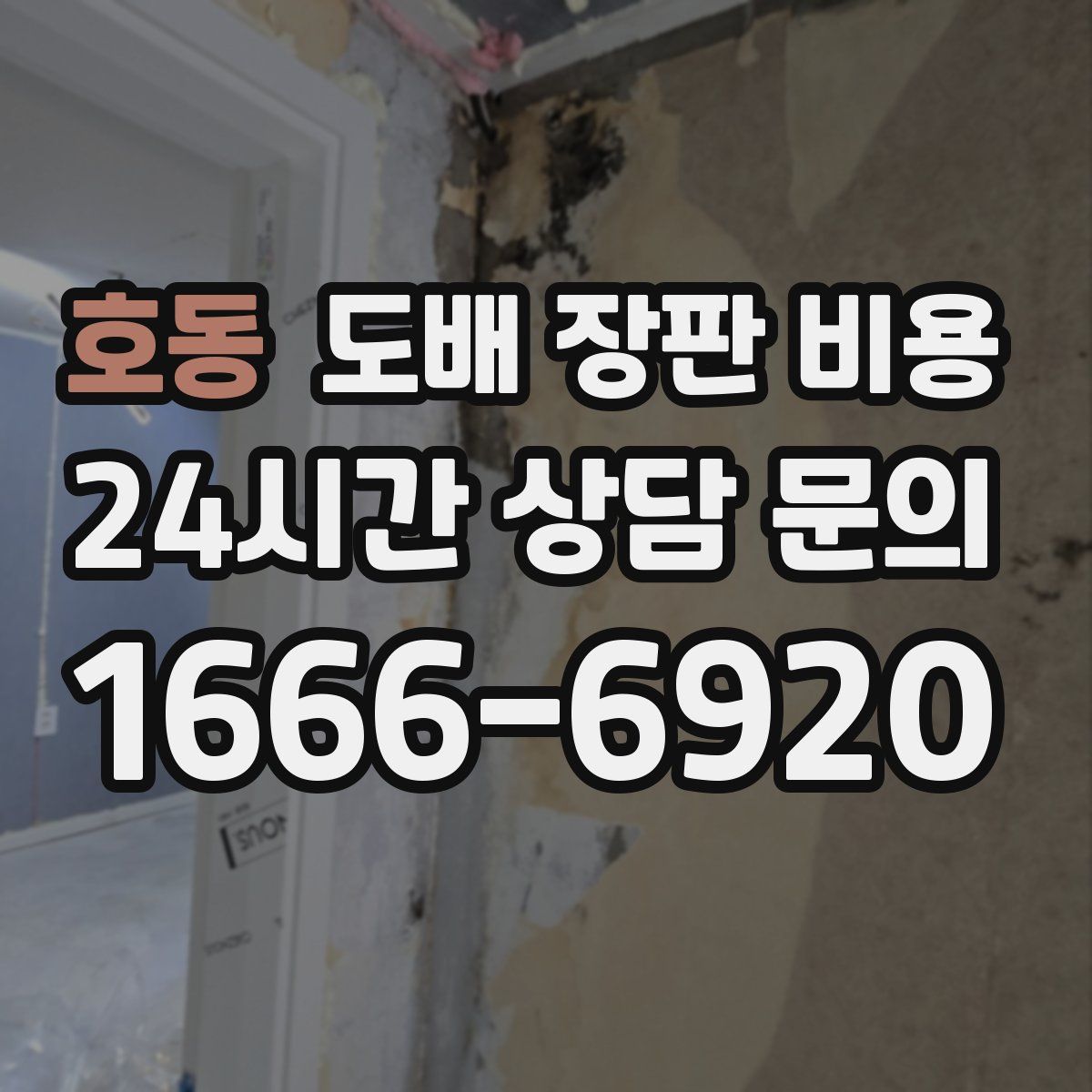 호동 도배 장판 비용