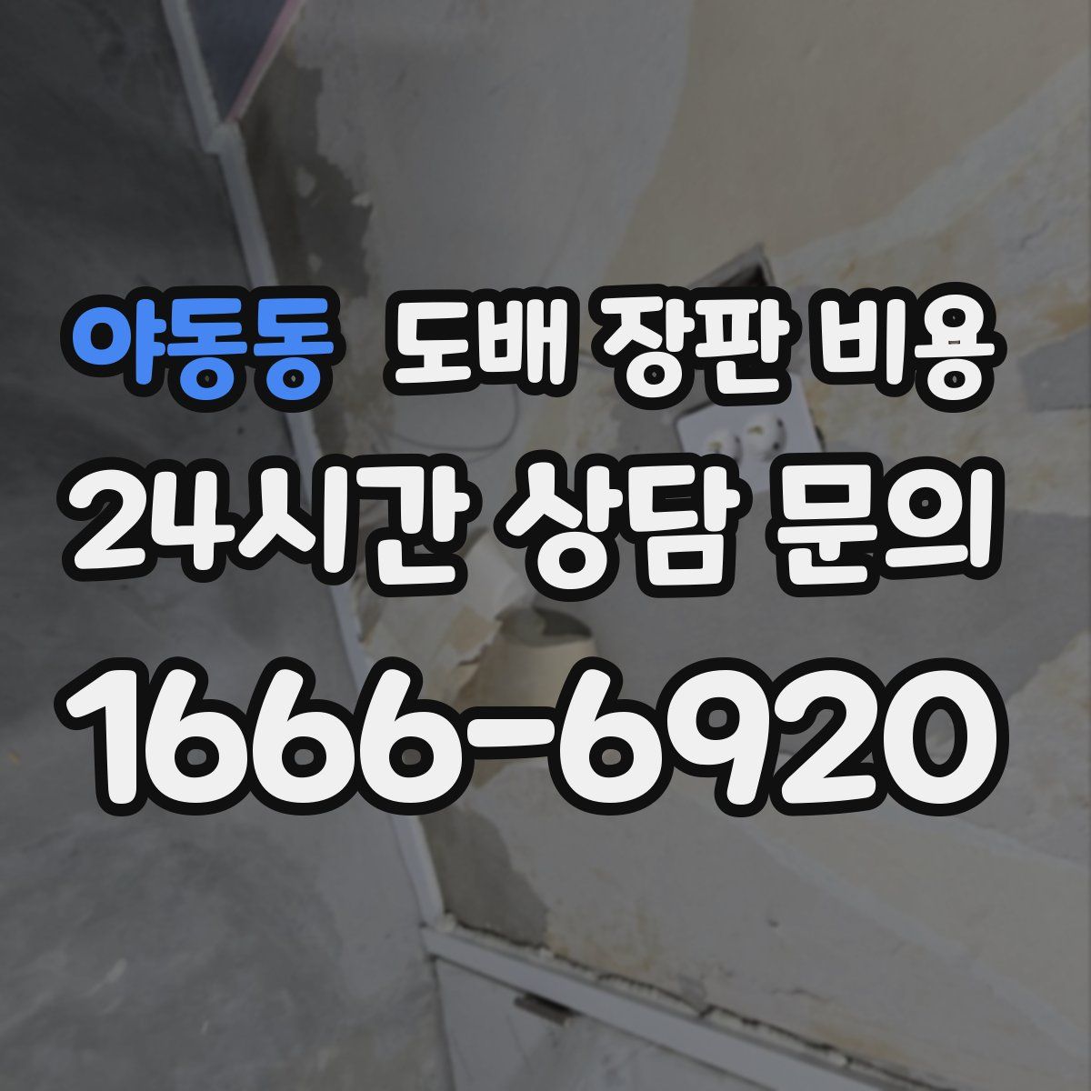 야동동 도배 장판 비용