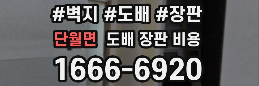 단월면 도배 장판 비용