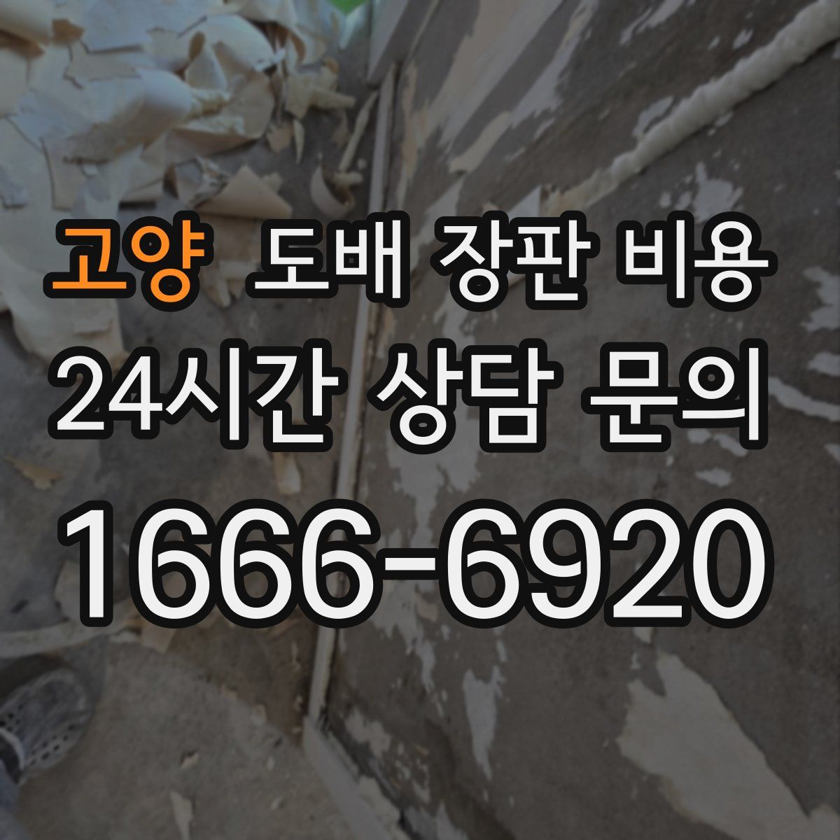 고양 도배 장판 비용