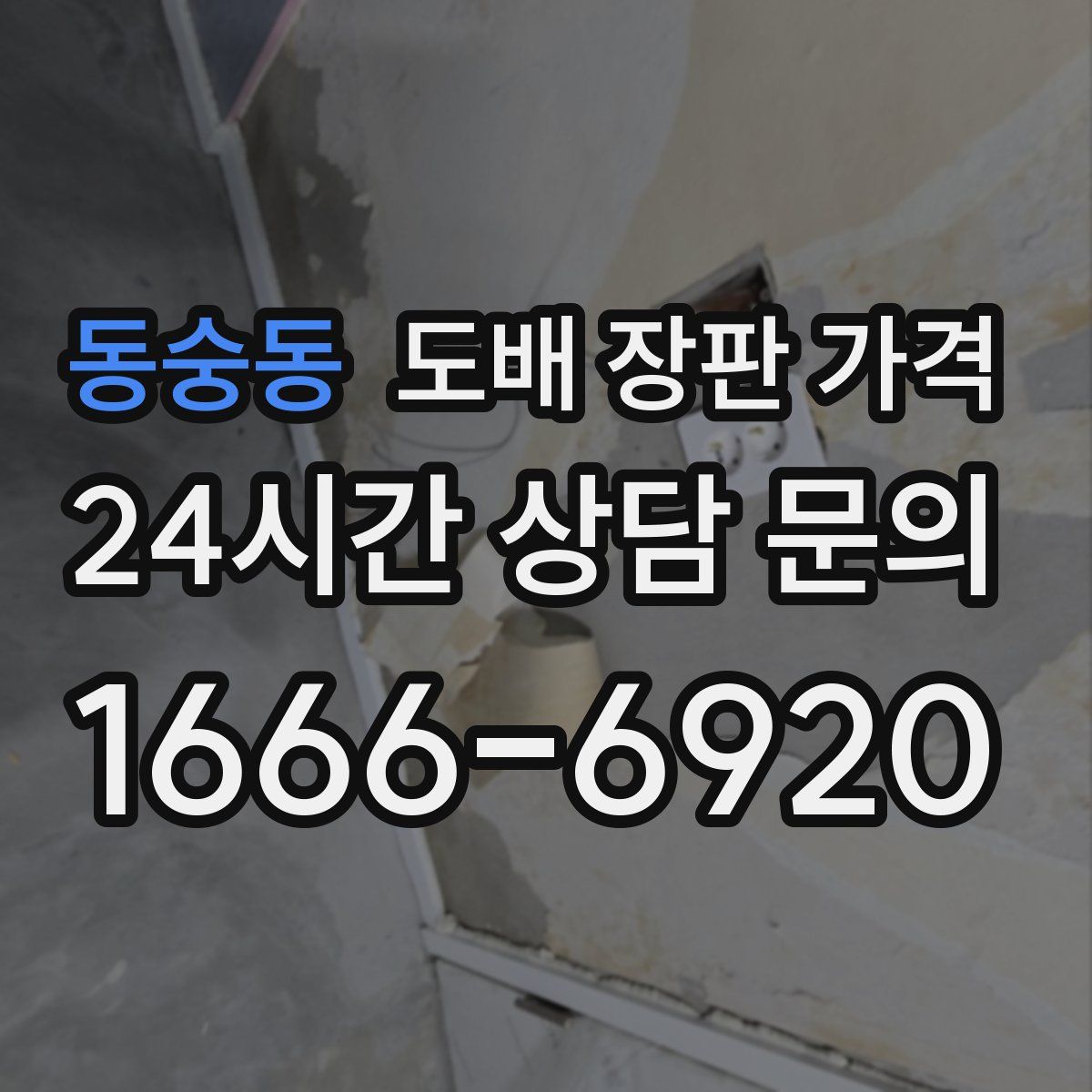 동숭동 도배 장판 가격