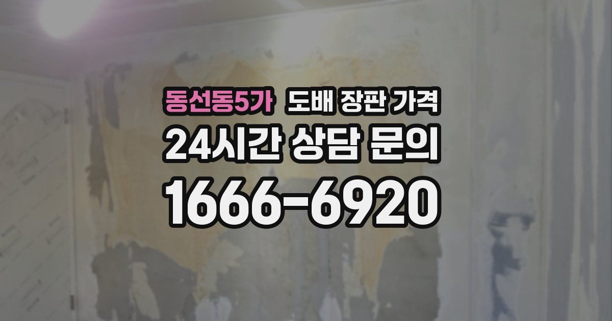 동선동5가 도배 장판 가격