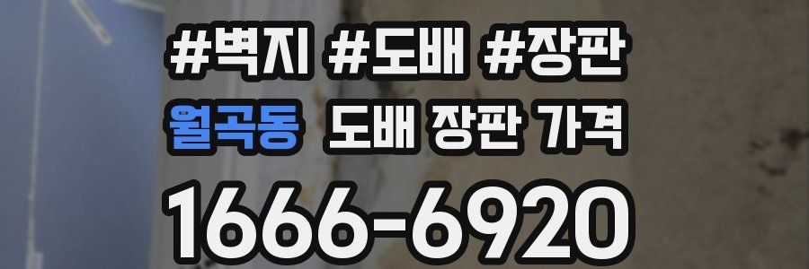 월곡동 도배 장판 가격