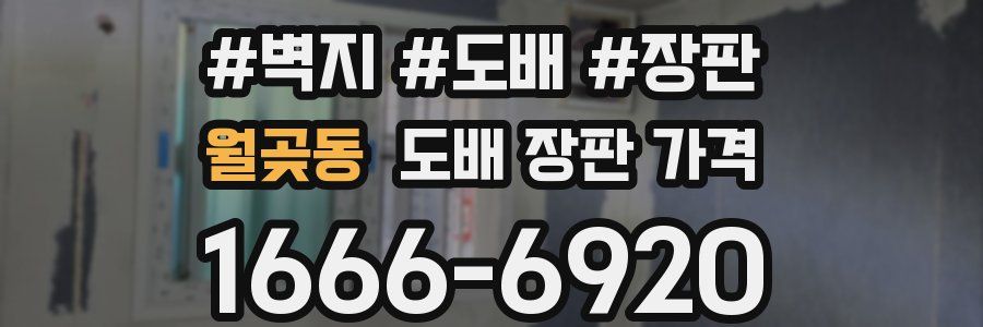 월곶동 도배 장판 가격