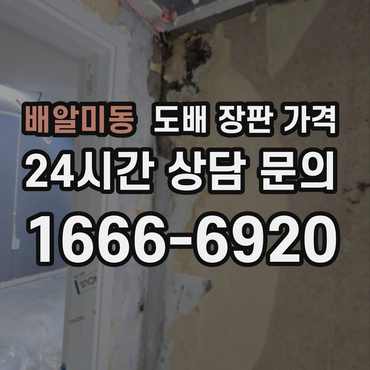 배알미동 도배 장판 가격