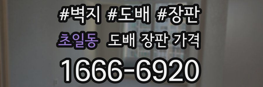 초일동 도배 장판 가격