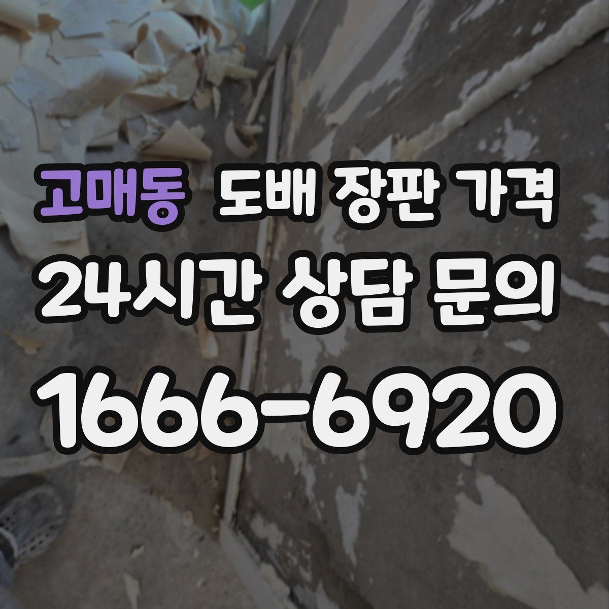 고매동 도배 장판 가격
