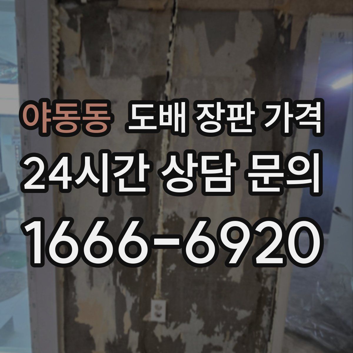 야동동 도배 장판 가격