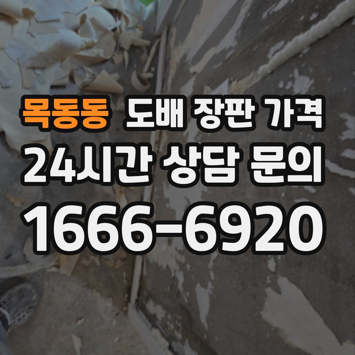 목동동 도배 장판 가격