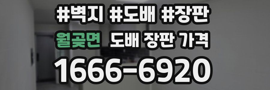 월곶면 도배 장판 가격