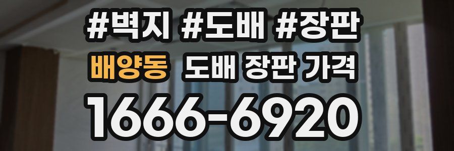 배양동 도배 장판 가격