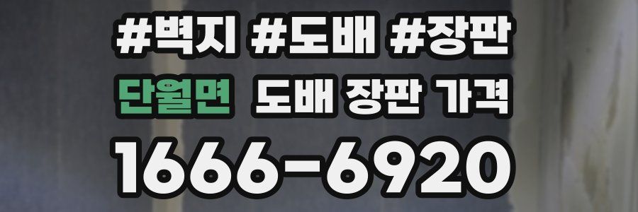단월면 도배 장판 가격