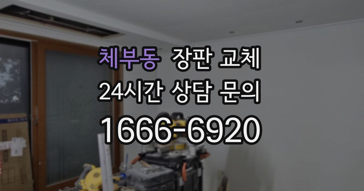 체부동 장판 교체