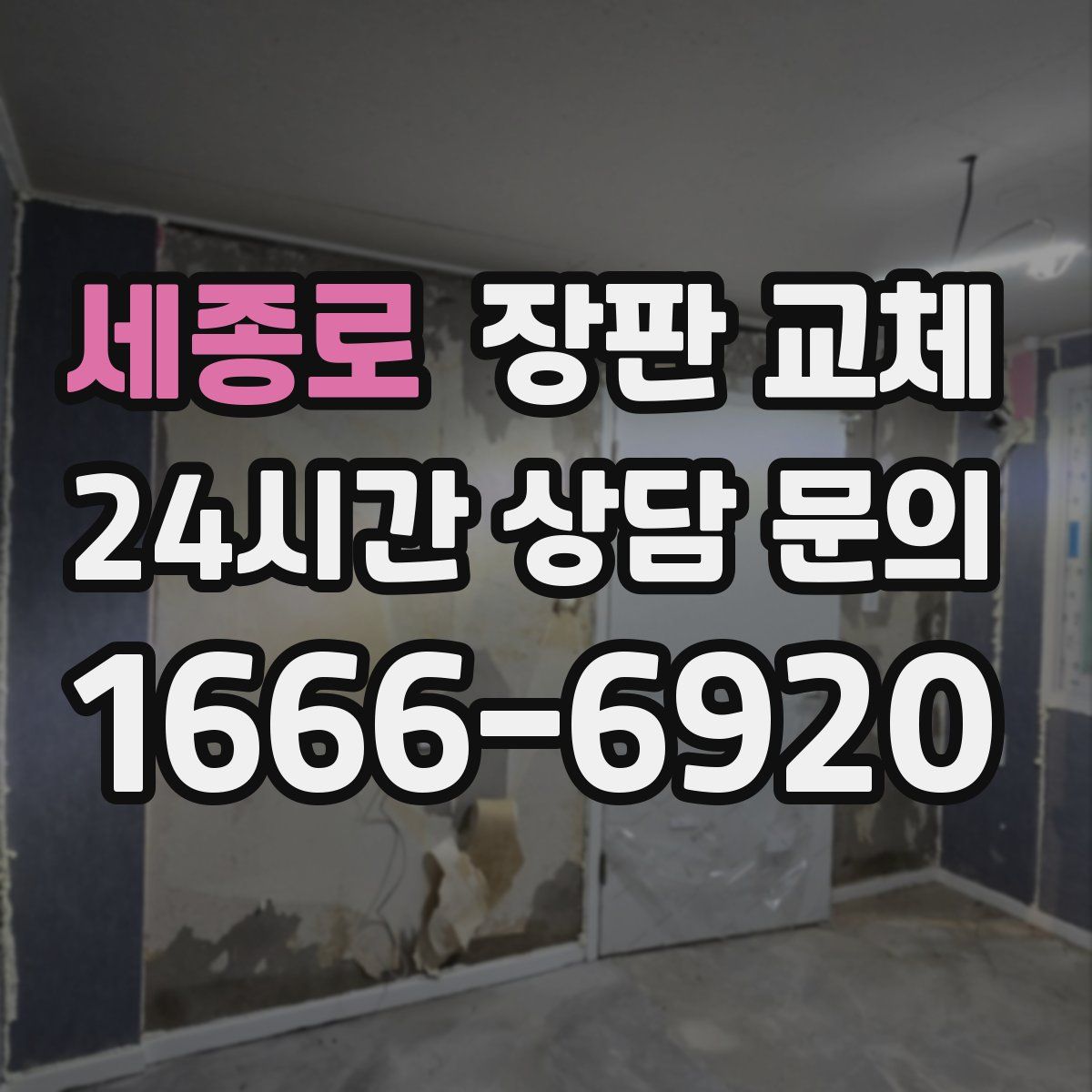 세종로 장판 교체