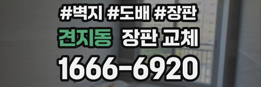 견지동 장판 교체