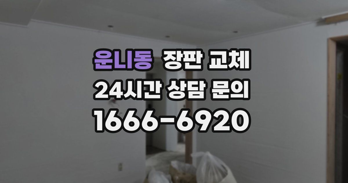 운니동 장판 교체