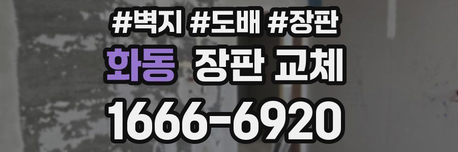 화동 장판 교체