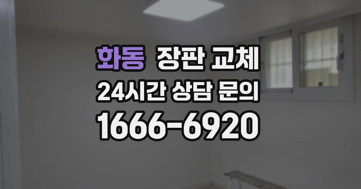 화동 장판 교체