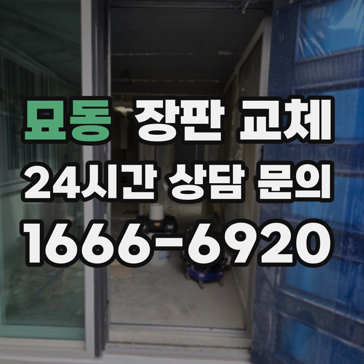 묘동 장판 교체