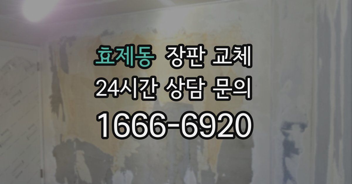 효제동 장판 교체