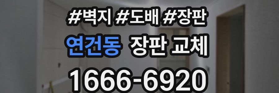 연건동 장판 교체