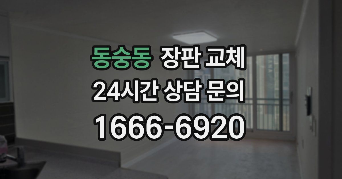 동숭동 장판 교체