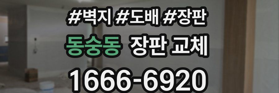 동숭동 장판 교체