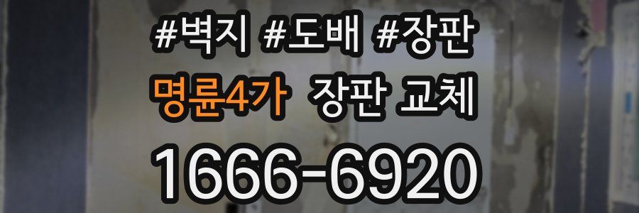 명륜4가 장판 교체