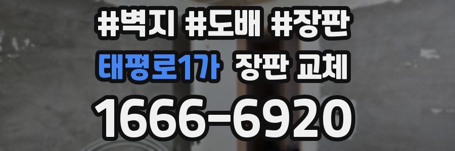 태평로1가 장판 교체