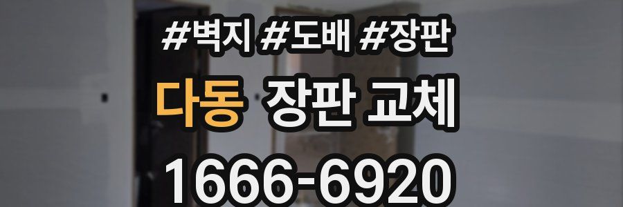 다동 장판 교체