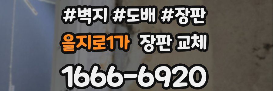 을지로1가 장판 교체