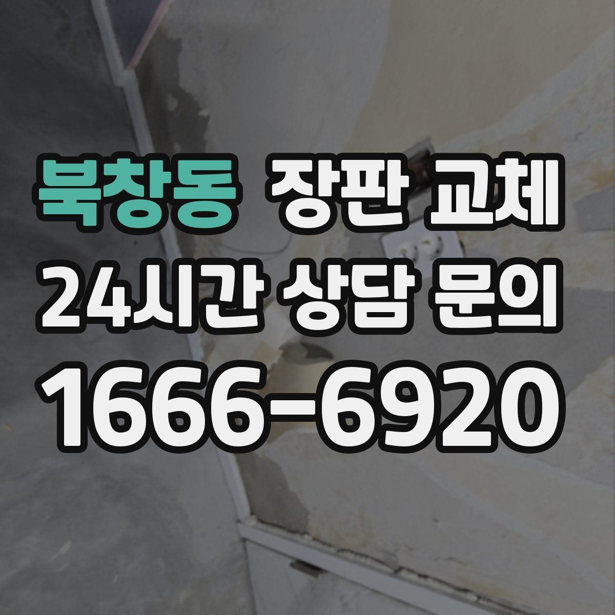 북창동 장판 교체